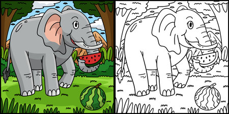 Elephant Eating Watermelon Coloring Illustrationのイラスト素材