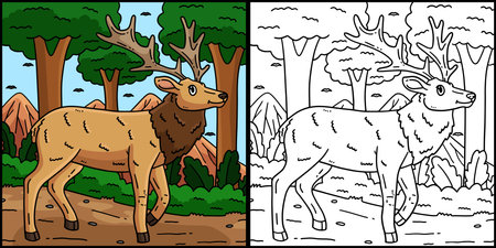 Forest Animal Elk Coloring Page Illustrationのイラスト素材