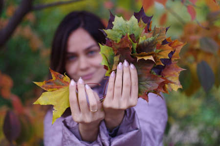 bouquet of autumn fallen leavesの写真素材
