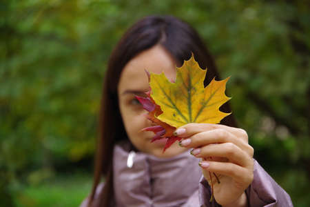 bouquet of autumn fallen leavesの写真素材