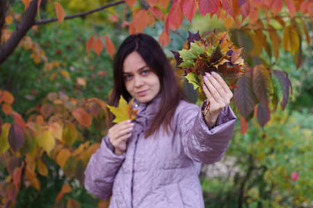bouquet of autumn fallen leavesの写真素材