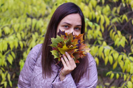 bouquet of autumn fallen leavesの写真素材