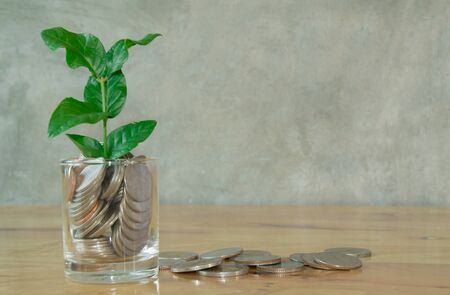 Plant on coins