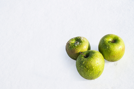 apples in the snowの写真素材