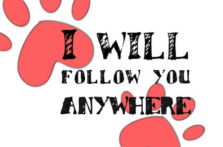 Love card with animal footprintsのイラスト素材