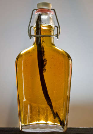 Vanilla Pod and seeds in syrupの写真素材