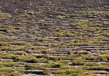Old, uneven roof tiles dotted with mossの写真素材