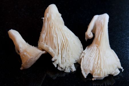 Three oyster mushrooms against a black granite backgroundの写真素材