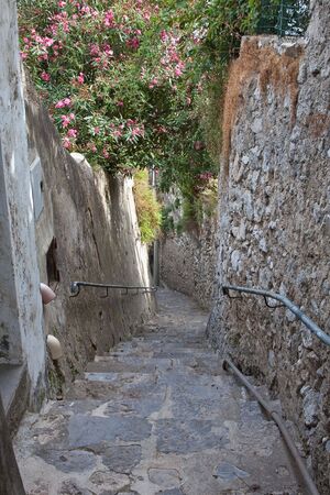 Steep stone steps in Praiano, Italy with a pink oleander treeの写真素材