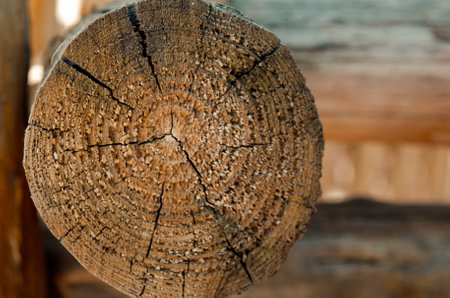 wooden saw cutの写真素材