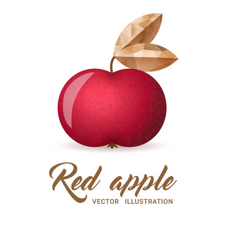 Realistic red apple, isolated on white - vector illustration. Big red apple with bright golden leaf.のイラスト素材
