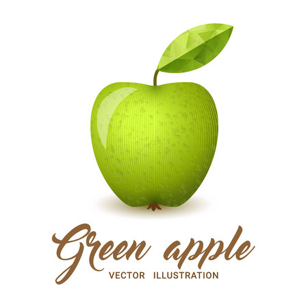 Realistic green apple, isolated on white - vector illustration. Big green apple with bright green leaf.のイラスト素材