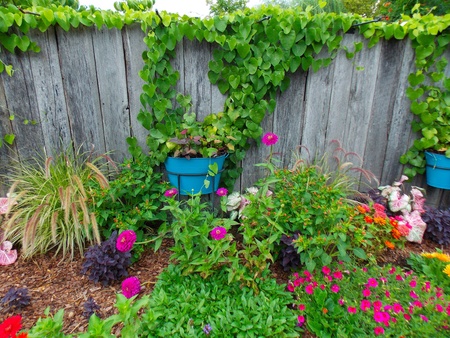 Home Flower Gardenの写真素材