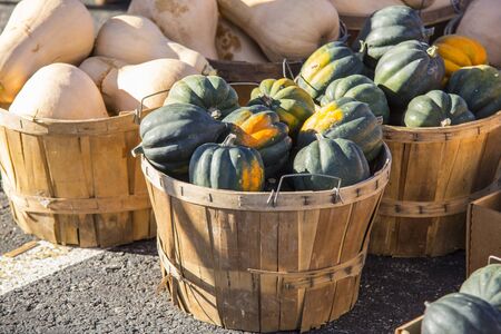large baskets of acorn squash and butternut squash