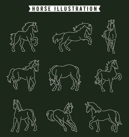 hand drawn horse illustration setのイラスト素材