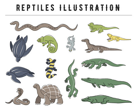 hand drawn reptiles illustration setのイラスト素材