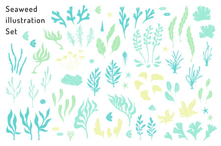 hand drawn seaweeds and sea life illustrationのイラスト素材