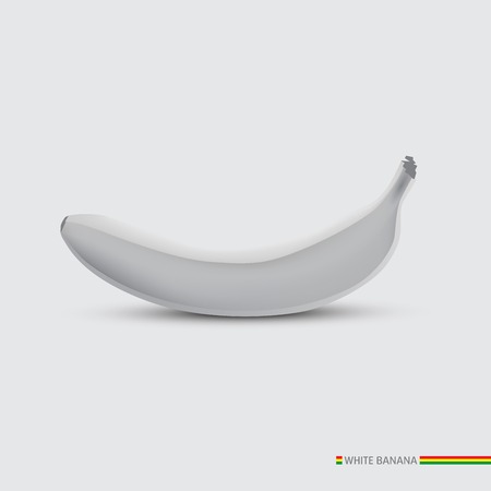 White One banana isolated  Vector illustration のイラスト素材