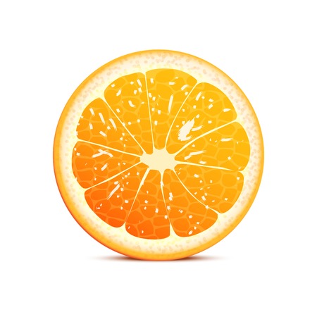 orange vector illustration  fruit backgroundのイラスト素材