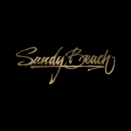 Sandy beach hand lettering -  handmade calligraphy, vectorのイラスト素材
