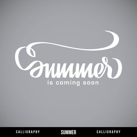 Summer hand lettering -  handmade calligraphy, vectorのイラスト素材