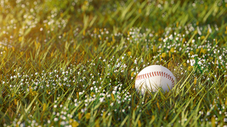 Close up shot of a new baseball lying in the green grass in the afternoon with shallow depth of field with focus on ball. 3d render illustration.の写真素材