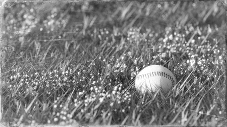 Black and white close up shot of old baseball lying in the grass with shallow depth of field with focus on ball. 3d render illustration.の写真素材