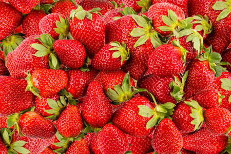 Fresh strawberry - backgroundの写真素材