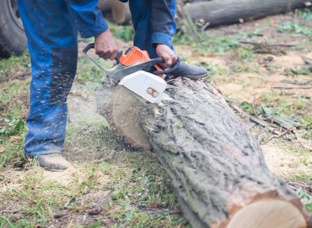 man sawing woodの写真素材