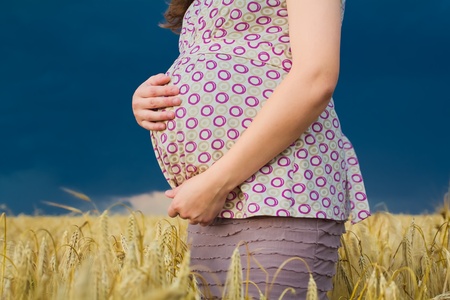 Young pregnant woman in a wheat fieldの写真素材