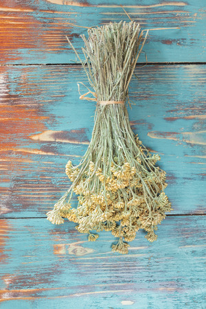 The dried flowers of helichrysum arenarium,  closeupの写真素材