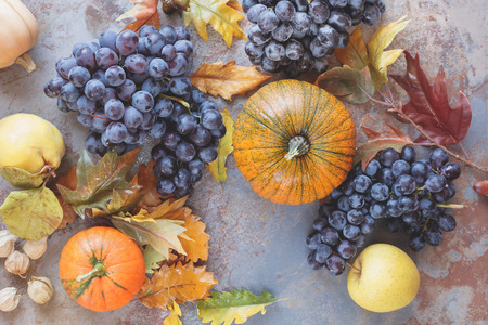 Autumnal fruits . Autumn still life with various autumn fruits and  leaves.  Top view, vintage  tonedの写真素材