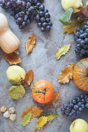 Autumnal fruits . Autumn still life with various autumn fruits and  leaves.  Top view, vintage  tonedの写真素材