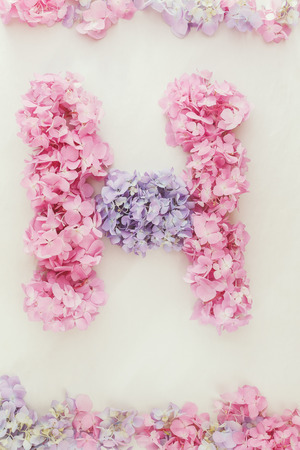 Hydrangea floral background. Flowers arranged into the shape of the letter H on rustic background.