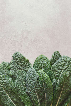 Fresh bunch of kale. Freshly washed organic kale on rustic background.  Top view, vintage toned image, blank spaceの写真素材