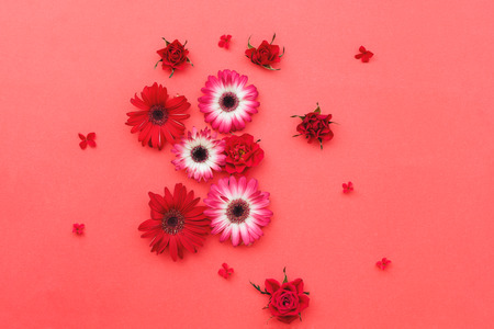 Blooming  natural flowers on red paper background. Top view, blank spaceの写真素材