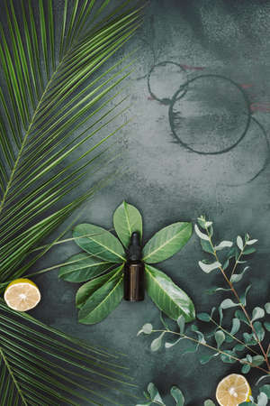 Natural skin care products and bottle of skin care oil. Top view, blank space, vintage toned imageの写真素材