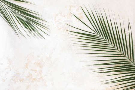 Tropical palm leaf on rustic white and gold background,  summer concept flat lay, top view, copy spaceの写真素材