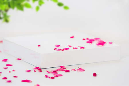 Minimal style geometric  product podium  with rose petals on white background. Abstract  background for product presentation , gift or cosmeticsの写真素材