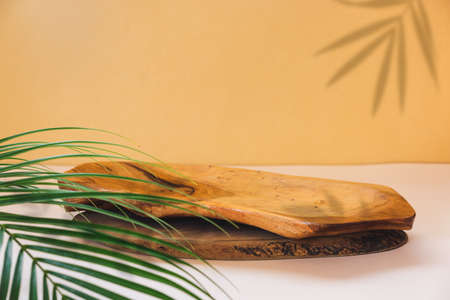 Rustic wood plate  podium. Background for  product presentation, palm leaf and natural shadow on the wall. Selective focus, copy spaceの写真素材