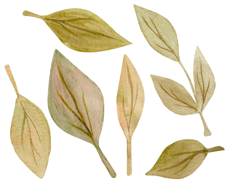 Seamless Pattern of hand drawn watercolor delicate flowers and leaves. Design for wedding invitation, fabric, packaging, textile, cover, postcard, paper, greeting cards, blog. Green cute wildflowers.の写真素材