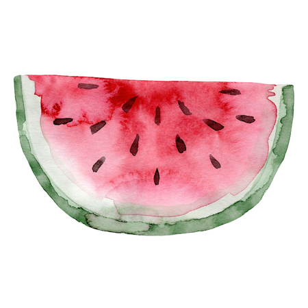 Watercolor watermelon fruit. Hand drawn summer illustration.の写真素材