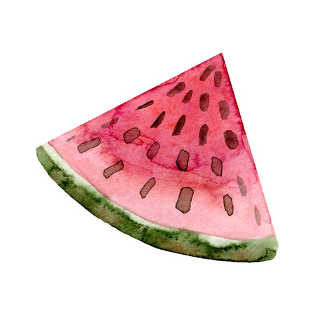 Watercolor watermelon fruit. Hand drawn summer illustration.の写真素材