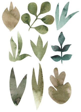 Seamless Pattern of hand drawn watercolor delicate flowers and leaves. Design for wedding invitation, fabric, packaging, textile, cover, postcard, paper, greeting cards, blog. Green cute wildflowers.の写真素材