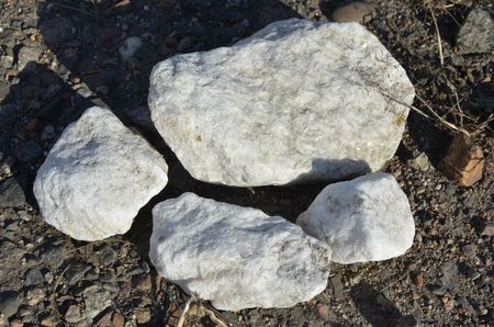 This picture shows white stones on the ground