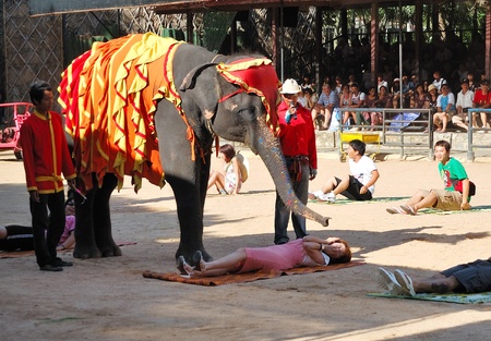 PATTAYA, THAILAND - SEPTEMBER 7: The famous elephant show in Nong Nooch tropical garden on September...