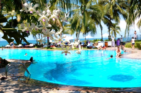 The luxury hotel with swimming pool and orchid's flowers (in focus), Bentota, Sri Lankaのeditorial素材