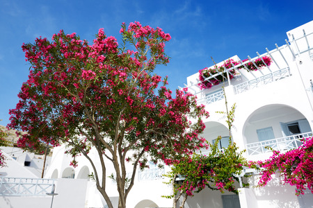 Building of hotel in traditional Greek style, Santorini island, Greeceのeditorial素材