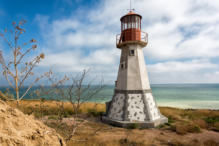 Detail photo of a grass growing on a beach with a lighthouse in the backgroundの写真素材