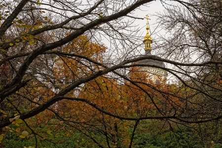 Autumn in the botanical gardenの写真素材